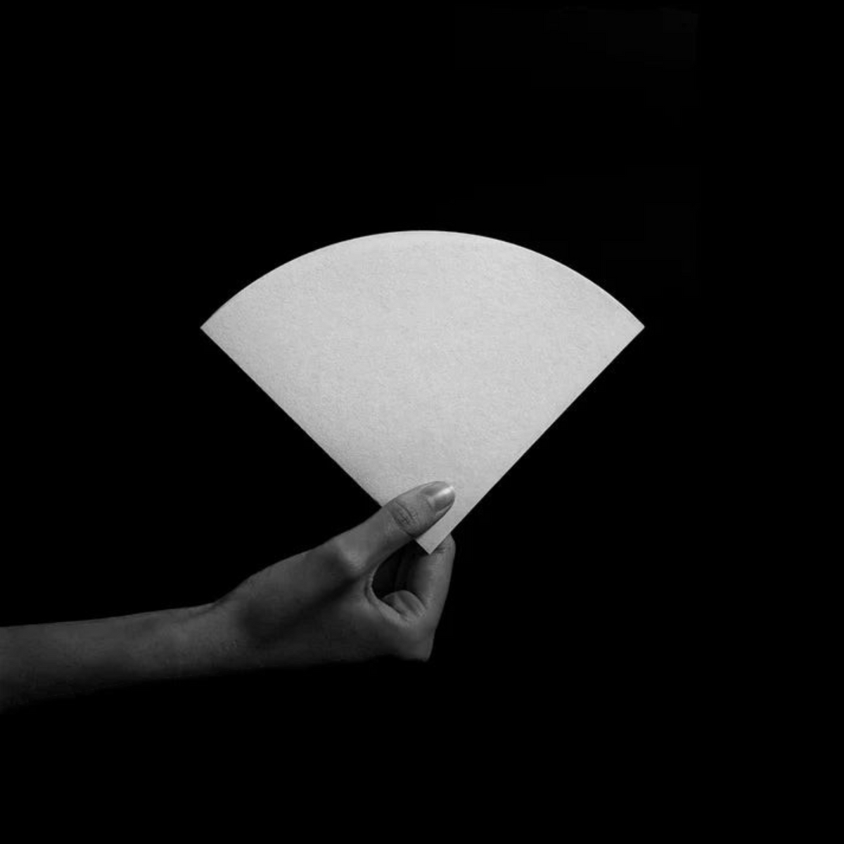 The Pull & Pour Shop Sibarist FAST medium cone coffee filter held by a hand against a black background.
