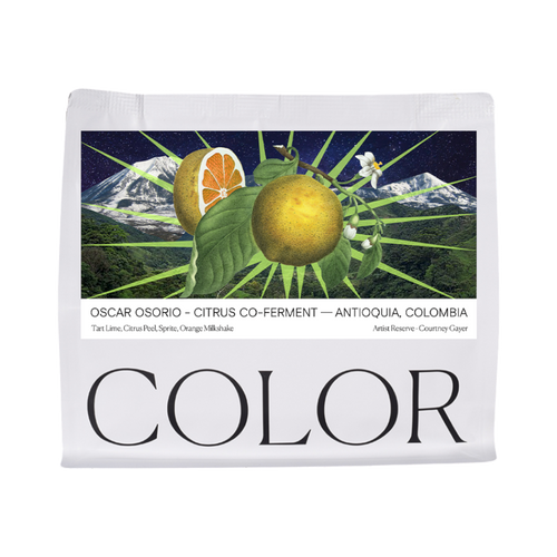 The Pull & Pour Shop coffee bag featuring a vibrant illustration of mandarin limes and mountains by Courtney Gayer.