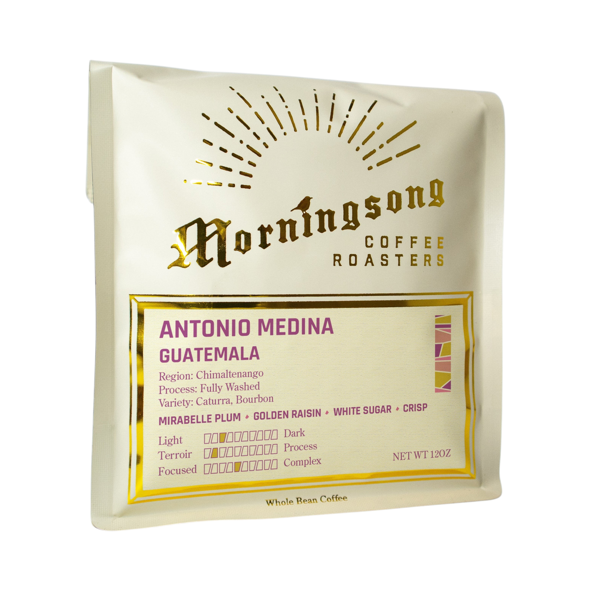 The Pull & Pour Shop Antonio Medina Guatemala whole bean coffee bag with gold foil branding on a soft peach background.
